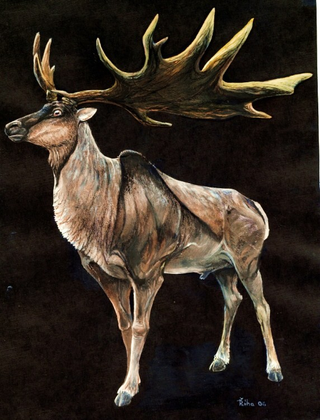 Artist’s conception of the Great Elk.